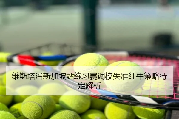 维斯塔潘新加坡站练习赛调校失准红牛策略待定解析